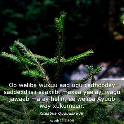 Picture 03 - Ayuub 32:3 SOM - Oo weliba wuxuu aad ugu cadhooday saddexdiisii - Bible Verse Picture