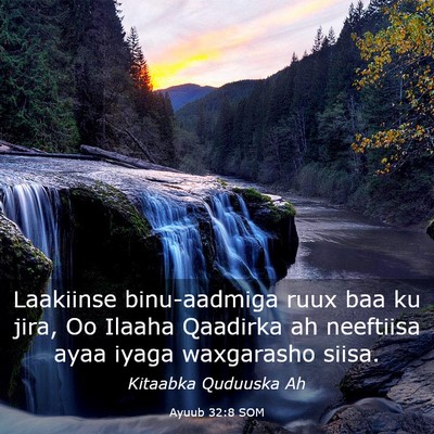 Picture 03 - Ayuub 32:8 SOM - Laakiinse binu-aadmiga ruux baa ku jira, Oo - Bible Verse Picture