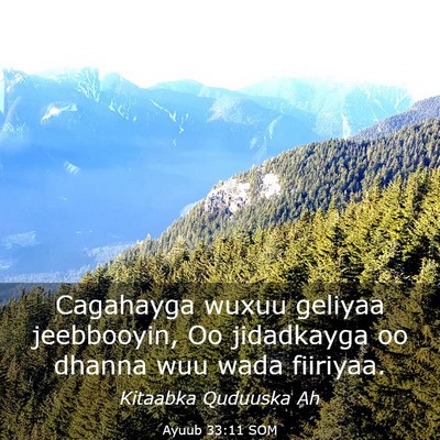 Picture 03 - Ayuub 33:11 SOM - Cagahayga wuxuu geliyaa jeebbooyin, Oo jidadkayga - Bible Verse Picture