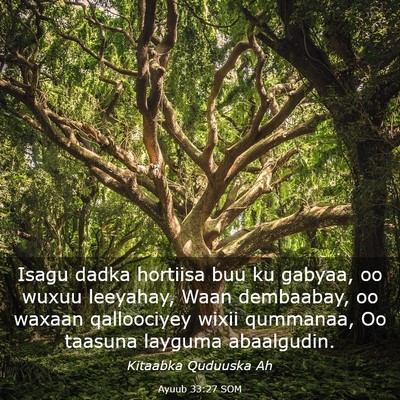Picture 03 - Ayuub 33:27 SOM - Isagu dadka hortiisa buu ku gabyaa, oo wuxuu - Bible Verse Picture