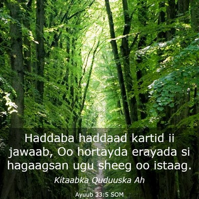 Picture 03 - Ayuub 33:5 SOM - Haddaba haddaad kartid ii jawaab, Oo hortayda - Bible Verse Picture