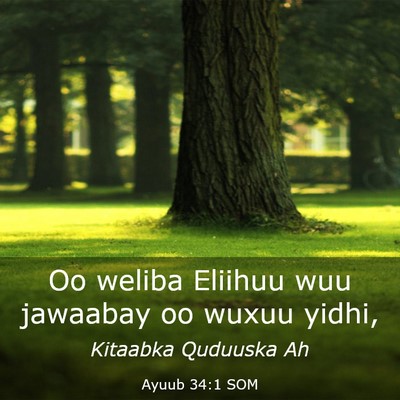 Picture 03 - Ayuub 34:1 SOM - Oo weliba Eliihuu wuu jawaabay oo wuxuu - Bible Verse Picture