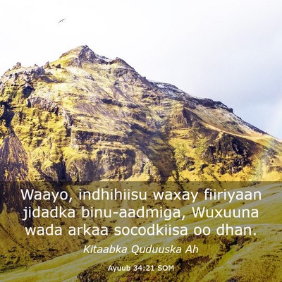 Picture 03 - Ayuub 34:21 SOM - Waayo, indhihiisu waxay fiiriyaan jidadka - Bible Verse Picture