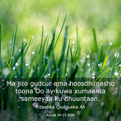 Picture 03 - Ayuub 34:22 SOM - Ma jiro gudcur ama hoosdhimasho toona Oo ay kuwa - Bible Verse Picture