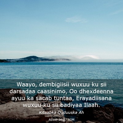 Picture 03 - Ayuub 34:37 SOM - Waayo, dembigiisii wuxuu ku sii darsadaa - Bible Verse Picture