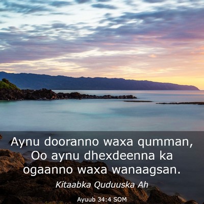 Picture 03 - Ayuub 34:4 SOM - Aynu dooranno waxa qumman, Oo aynu dhexdeenna ka - Bible Verse Picture