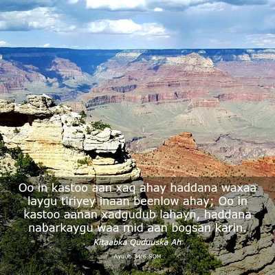 Picture 03 - Ayuub 34:6 SOM - Oo in kastoo aan xaq ahay haddana waxaa laygu - Bible Verse Picture