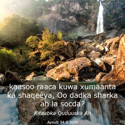 Picture 03 - Ayuub 34:8 SOM - kaasoo raaca kuwa xumaanta ka shaqeeya, Oo dadka - Bible Verse Picture
