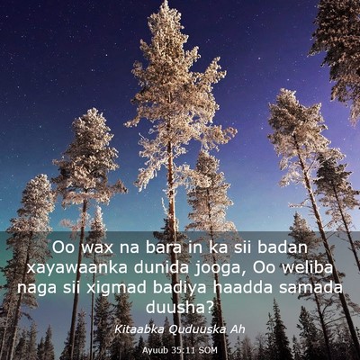 Picture 03 - Ayuub 35:11 SOM - Oo wax na bara in ka sii badan xayawaanka dunida - Bible Verse Picture