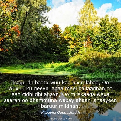 Picture 03 - Ayuub 36:16 SOM - Isagu dhibaato wuu kaa bixin lahaa, Oo wuxuu ku - Bible Verse Picture