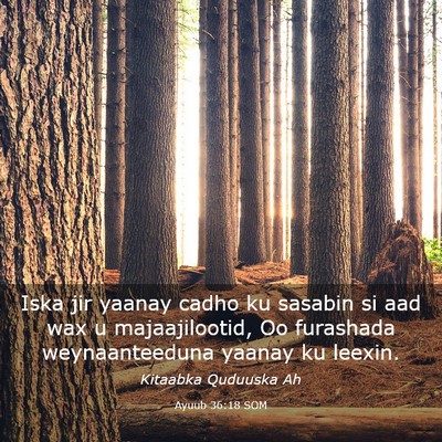 Picture 03 - Ayuub 36:18 SOM - Iska jir yaanay cadho ku sasabin si aad wax u - Bible Verse Picture
