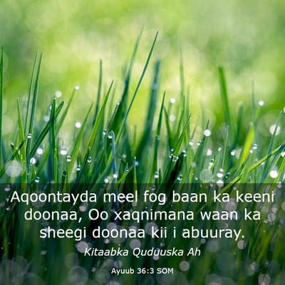 Picture 03 - Ayuub 36:3 SOM - Aqoontayda meel fog baan ka keeni doonaa, Oo - Bible Verse Picture