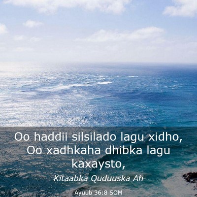 Picture 03 - Ayuub 36:8 SOM - Oo haddii silsilado lagu xidho, Oo xadhkaha - Bible Verse Picture