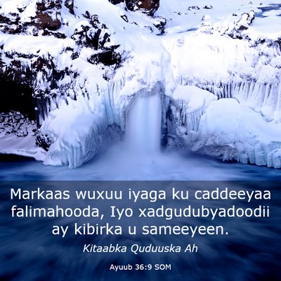 Picture 03 - Ayuub 36:9 SOM - Markaas wuxuu iyaga ku caddeeyaa falimahooda, Iyo - Bible Verse Picture