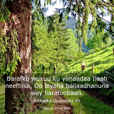 Picture 03 - Ayuub 37:10 SOM - Barafku wuxuu ku yimaadaa Ilaah neeftiisa, Oo - Bible Verse Picture