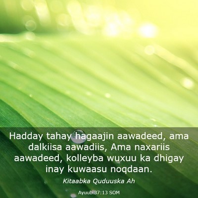 Picture 03 - Ayuub 37:13 SOM - Hadday tahay hagaajin aawadeed, ama dalkiisa - Bible Verse Picture