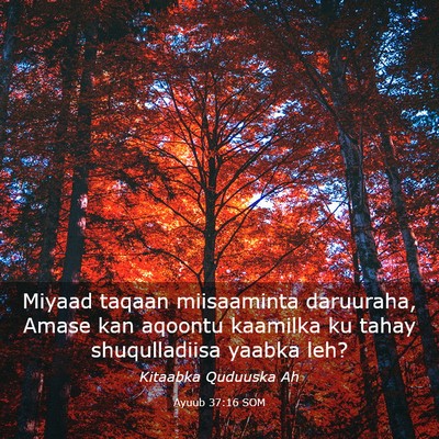 Picture 03 - Ayuub 37:16 SOM - Miyaad taqaan miisaaminta daruuraha, Amase kan - Bible Verse Picture