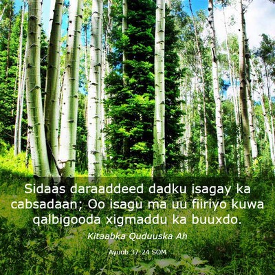 Picture 03 - Ayuub 37:24 SOM - Sidaas daraaddeed dadku isagay ka cabsadaan; Oo - Bible Verse Picture