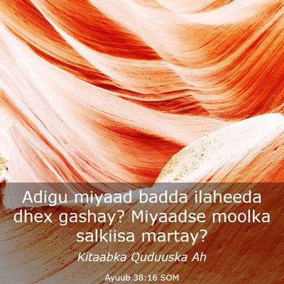 Picture 03 - Ayuub 38:16 SOM - Adigu miyaad badda ilaheeda dhex gashay? Miyaadse - Bible Verse Picture