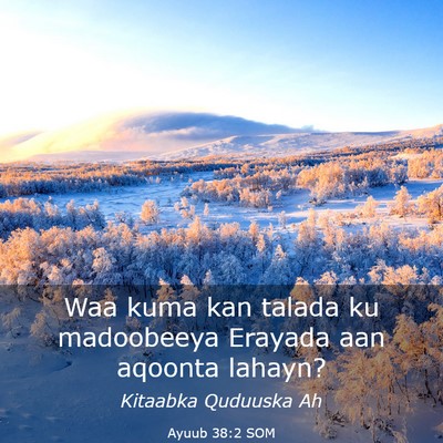 Picture 03 - Ayuub 38:2 SOM - Waa kuma kan talada ku madoobeeya Erayada aan - Bible Verse Picture