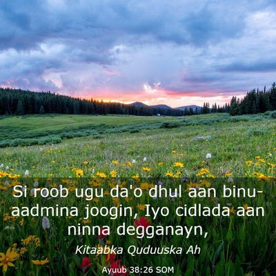 Picture 03 - Ayuub 38:26 SOM - Si roob ugu da'o dhul aan binu-aadmina joogin, - Bible Verse Picture