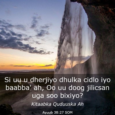 Picture 03 - Ayuub 38:27 SOM - Si uu u dherjiyo dhulka cidlo iyo baabba' ah, Oo - Bible Verse Picture