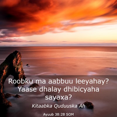 Picture 03 - Ayuub 38:28 SOM - Roobku ma aabbuu leeyahay? Yaase dhalay - Bible Verse Picture