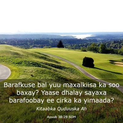 Picture 03 - Ayuub 38:29 SOM - Barafkuse bal yuu maxalkiisa ka soo baxay? Yaase - Bible Verse Picture