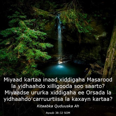 Picture 03 - Ayuub 38:32 SOM - Miyaad kartaa inaad xiddigaha Masarood la - Bible Verse Picture