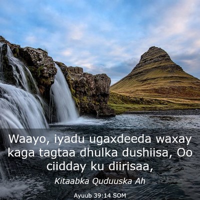 Picture 03 - Ayuub 39:14 SOM - Waayo, iyadu ugaxdeeda waxay kaga tagtaa dhulka - Bible Verse Picture