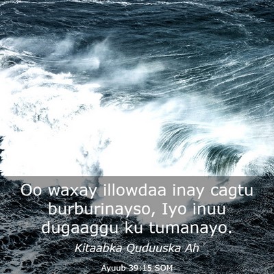 Picture 03 - Ayuub 39:15 SOM - Oo waxay illowdaa inay cagtu burburinayso, Iyo - Bible Verse Picture
