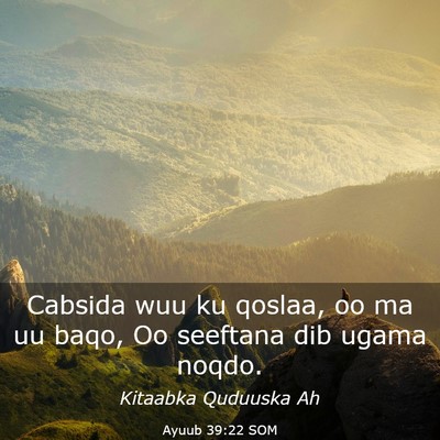Picture 03 - Ayuub 39:22 SOM - Cabsida wuu ku qoslaa, oo ma uu baqo, Oo seeftana - Bible Verse Picture