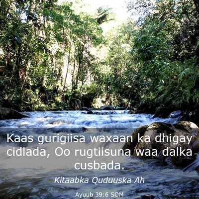 Picture 03 - Ayuub 39:6 SOM - Kaas gurigiisa waxaan ka dhigay cidlada, Oo - Bible Verse Picture