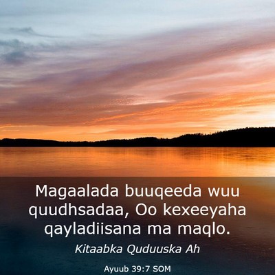 Picture 03 - Ayuub 39:7 SOM - Magaalada buuqeeda wuu quudhsadaa, Oo kexeeyaha - Bible Verse Picture