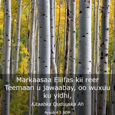 Picture 03 - Ayuub 4:1 SOM - Markaasaa Eliifas kii reer Teemaan u jawaabay, oo - Bible Verse Picture