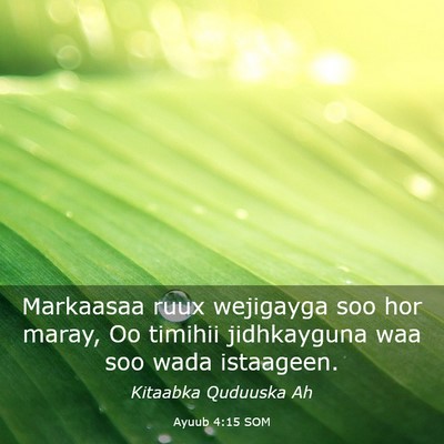Picture 03 - Ayuub 4:15 SOM - Markaasaa ruux wejigayga soo hor maray, Oo - Bible Verse Picture