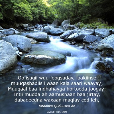 Picture 03 - Ayuub 4:16 SOM - Oo isagii wuu joogsaday, laakiinse muuqashadiisii - Bible Verse Picture