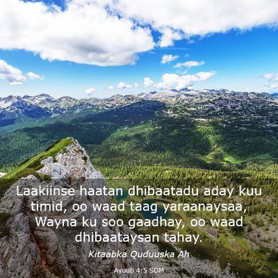 Picture 03 - Ayuub 4:5 SOM - Laakiinse haatan dhibaatadu aday kuu timid, oo - Bible Verse Picture