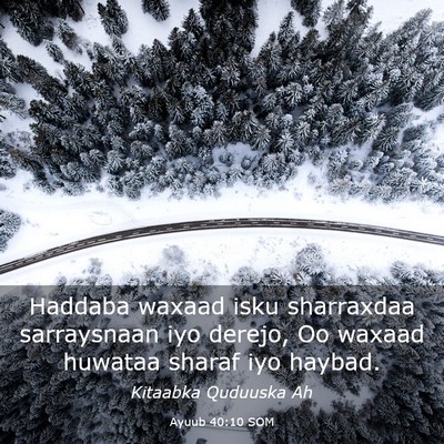 Picture 03 - Ayuub 40:10 SOM - Haddaba waxaad isku sharraxdaa sarraysnaan iyo - Bible Verse Picture