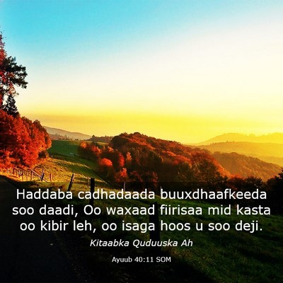 Picture 03 - Ayuub 40:11 SOM - Haddaba cadhadaada buuxdhaafkeeda soo daadi, Oo - Bible Verse Picture