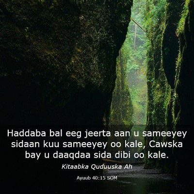 Picture 03 - Ayuub 40:15 SOM - Haddaba bal eeg jeerta aan u sameeyey sidaan kuu - Bible Verse Picture