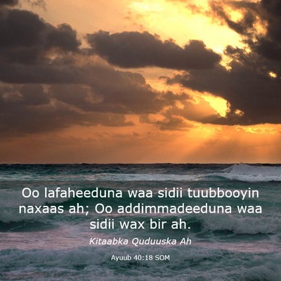 Picture 03 - Ayuub 40:18 SOM - Oo lafaheeduna waa sidii tuubbooyin naxaas ah; Oo - Bible Verse Picture