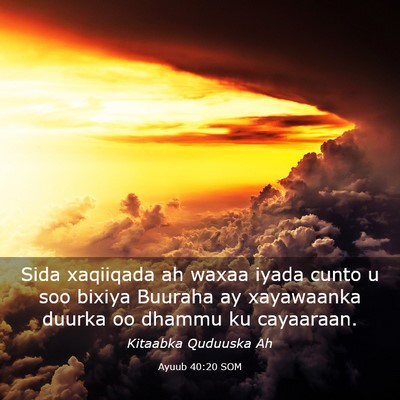 Picture 03 - Ayuub 40:20 SOM - Sida xaqiiqada ah waxaa iyada cunto u soo bixiya - Bible Verse Picture