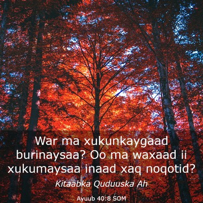 Picture 03 - Ayuub 40:8 SOM - War ma xukunkaygaad burinaysaa? Oo ma waxaad ii - Bible Verse Picture