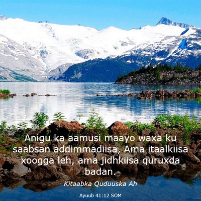 Picture 03 - Ayuub 41:12 SOM - Anigu ka aamusi maayo waxa ku saabsan - Bible Verse Picture