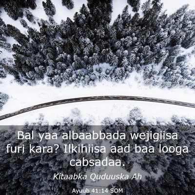 Picture 03 - Ayuub 41:14 SOM - Bal yaa albaabbada wejigiisa furi kara? Ilkihiisa - Bible Verse Picture