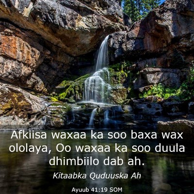 Picture 03 - Ayuub 41:19 SOM - Afkiisa waxaa ka soo baxa wax ololaya, Oo waxaa - Bible Verse Picture