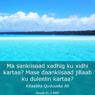 Picture 03 - Ayuub 41:2 SOM - Ma sankiisaad xadhig ku xidhi kartaa? Mase - Bible Verse Picture