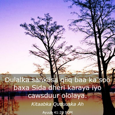 Picture 03 - Ayuub 41:20 SOM - Dulalka sankiisa qiiq baa ka soo baxa Sida dheri - Bible Verse Picture