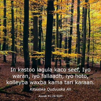 Picture 03 - Ayuub 41:26 SOM - In kastoo lagula kaco seef, Iyo waran, iyo - Bible Verse Picture